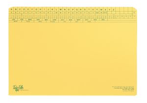 Picture of Foolscape Heavy Duty With Triclip (30mm)