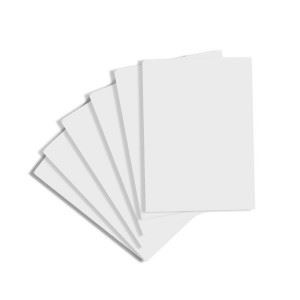 Picture of PROJECT BRD A4 160G WHITE (100)