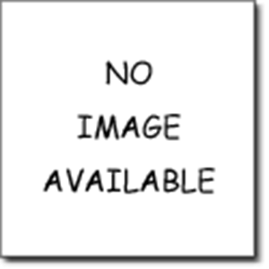 Picture of CHUTNEY WELLINGTONS 470G
